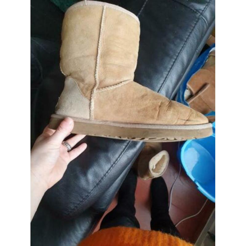 Uggs maat 40