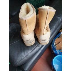 Uggs maat 40