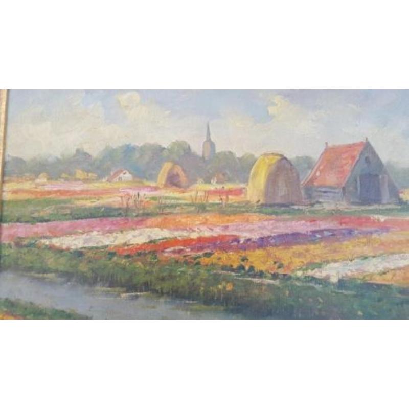 Van Gilst 1898-1981 bollenveld