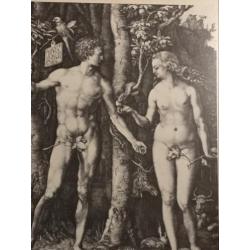 Adam en Eva prent Albrecht durer 27x33cm