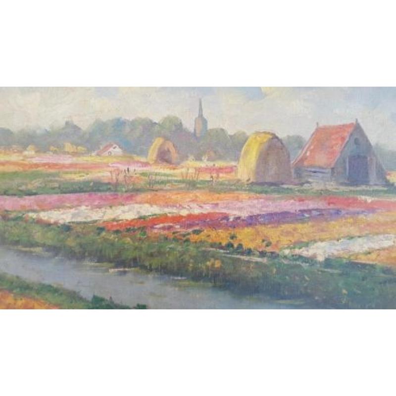 Van Gilst 1898-1981 bollenveld