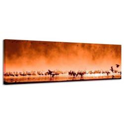 Diverse Canvas Panorama's - slechts EUR 49!