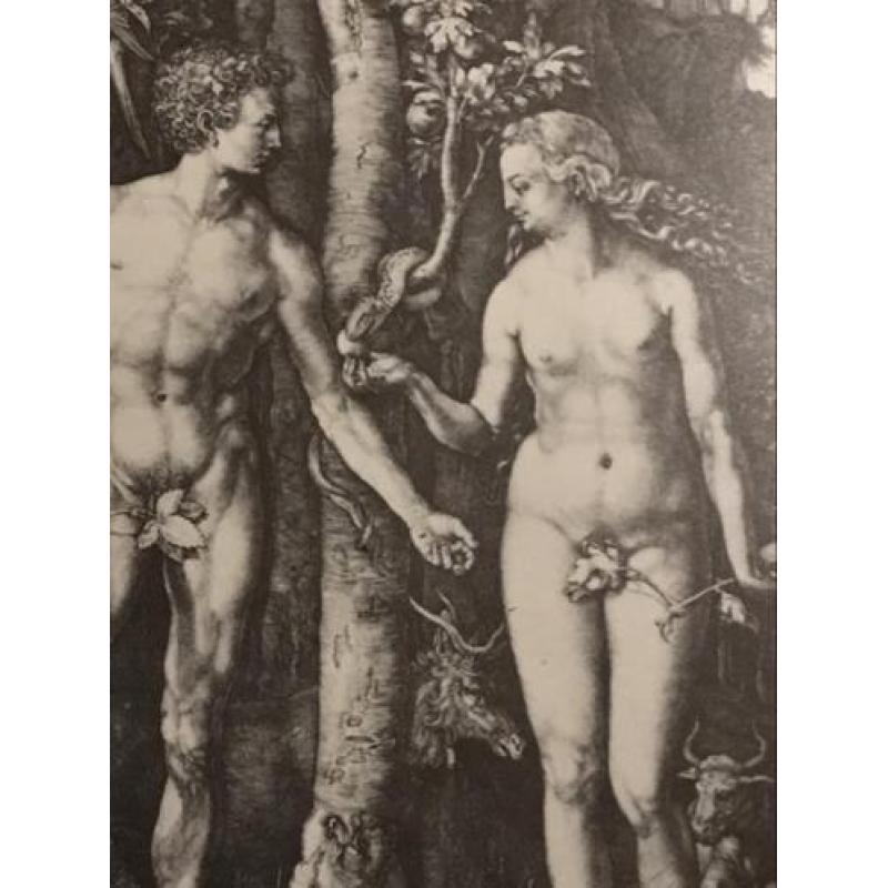 Adam en Eva prent Albrecht durer 27x33cm