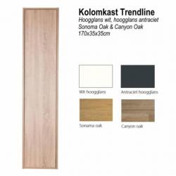 Kolomkast Trendline 170cm 35x35cm (verkrijgbaar in 4 kleu...